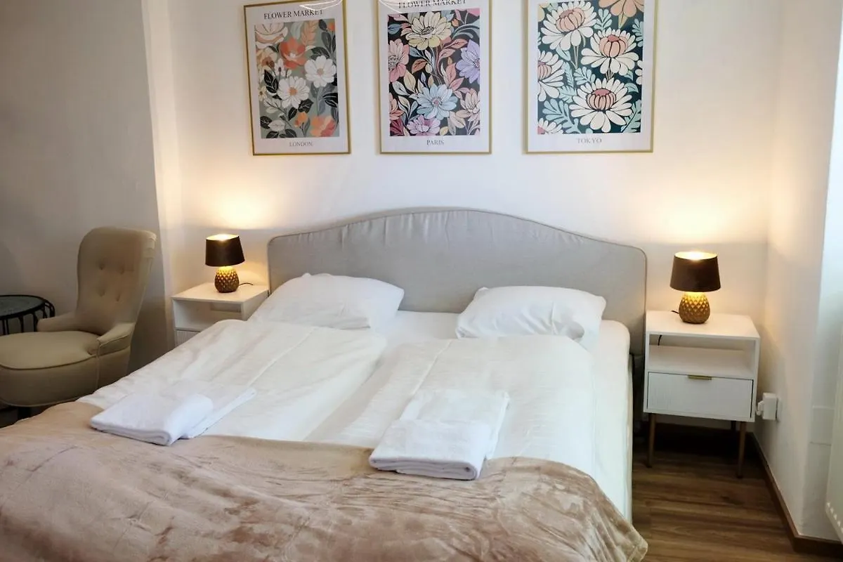 Newly Renovated Apartment In The Center Of Graz 0*,  Austria